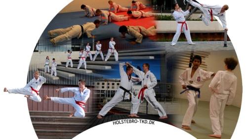 Logo for Holstebro Taekwondo